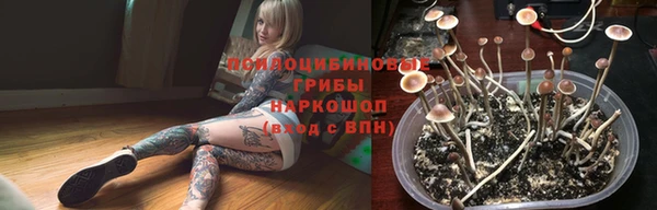 гидропоника Богородск