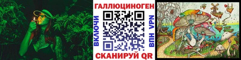 Галлюциногенные грибы Psilocybe  купить   Благовещенск 